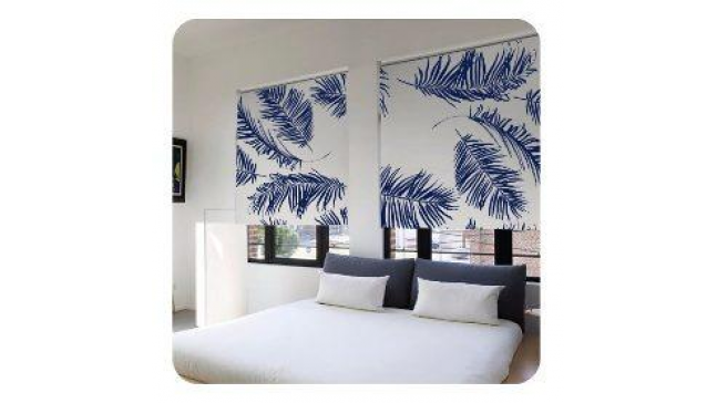 cortinas.png